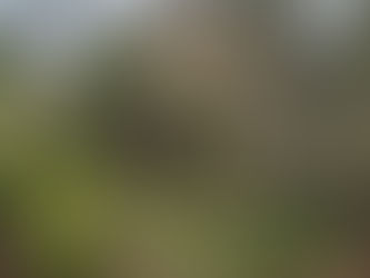 Rota dos Moinhos de Água D`Alte