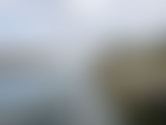 Passadiços de Aveiro