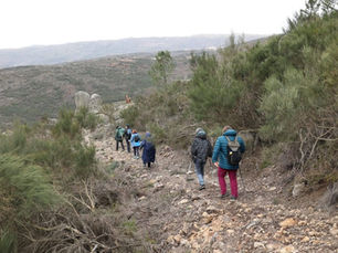 Trilho da Pombeira – Um Encontro Entre Natureza e História