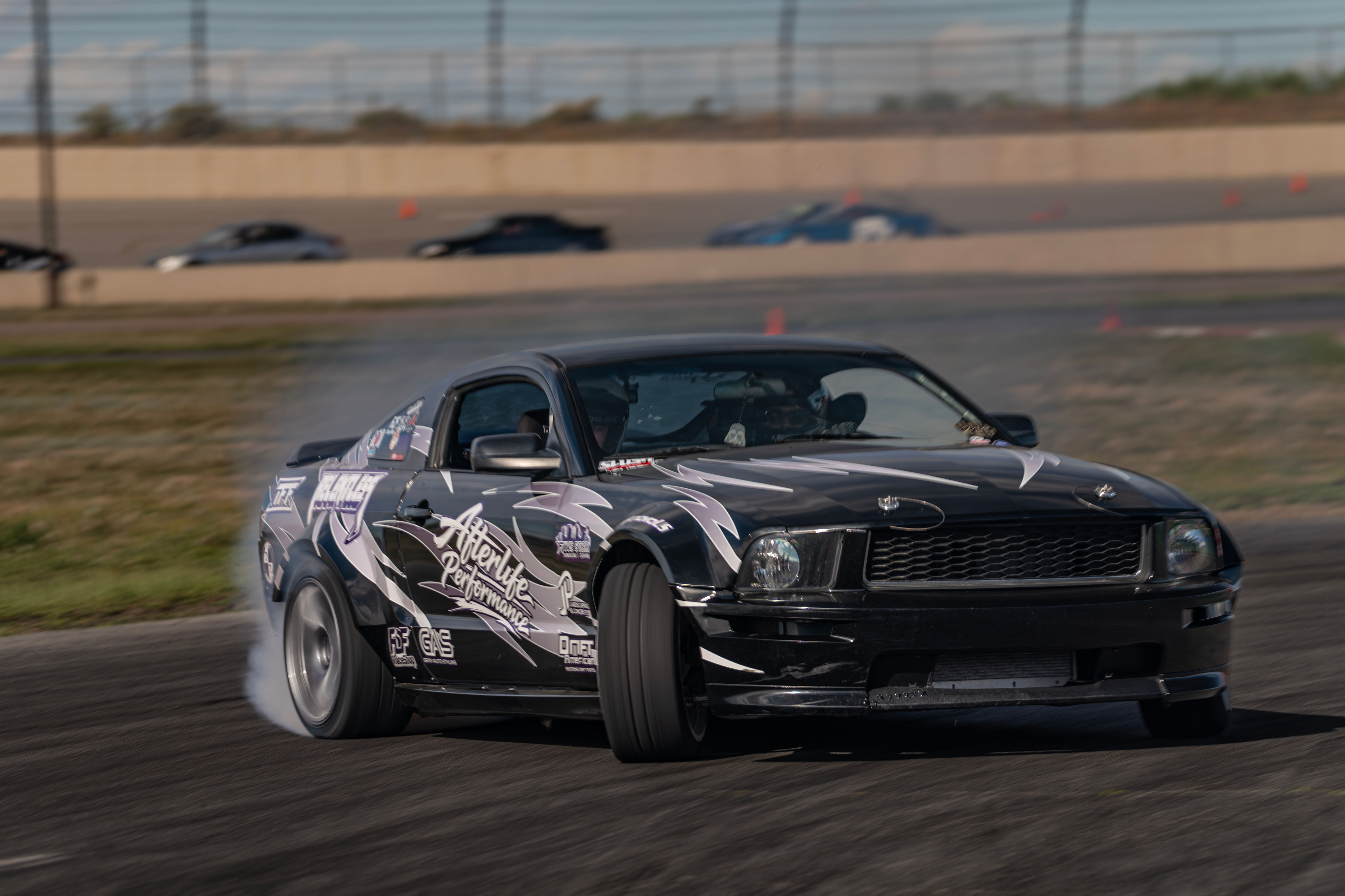 Afterlife Performance Mustang