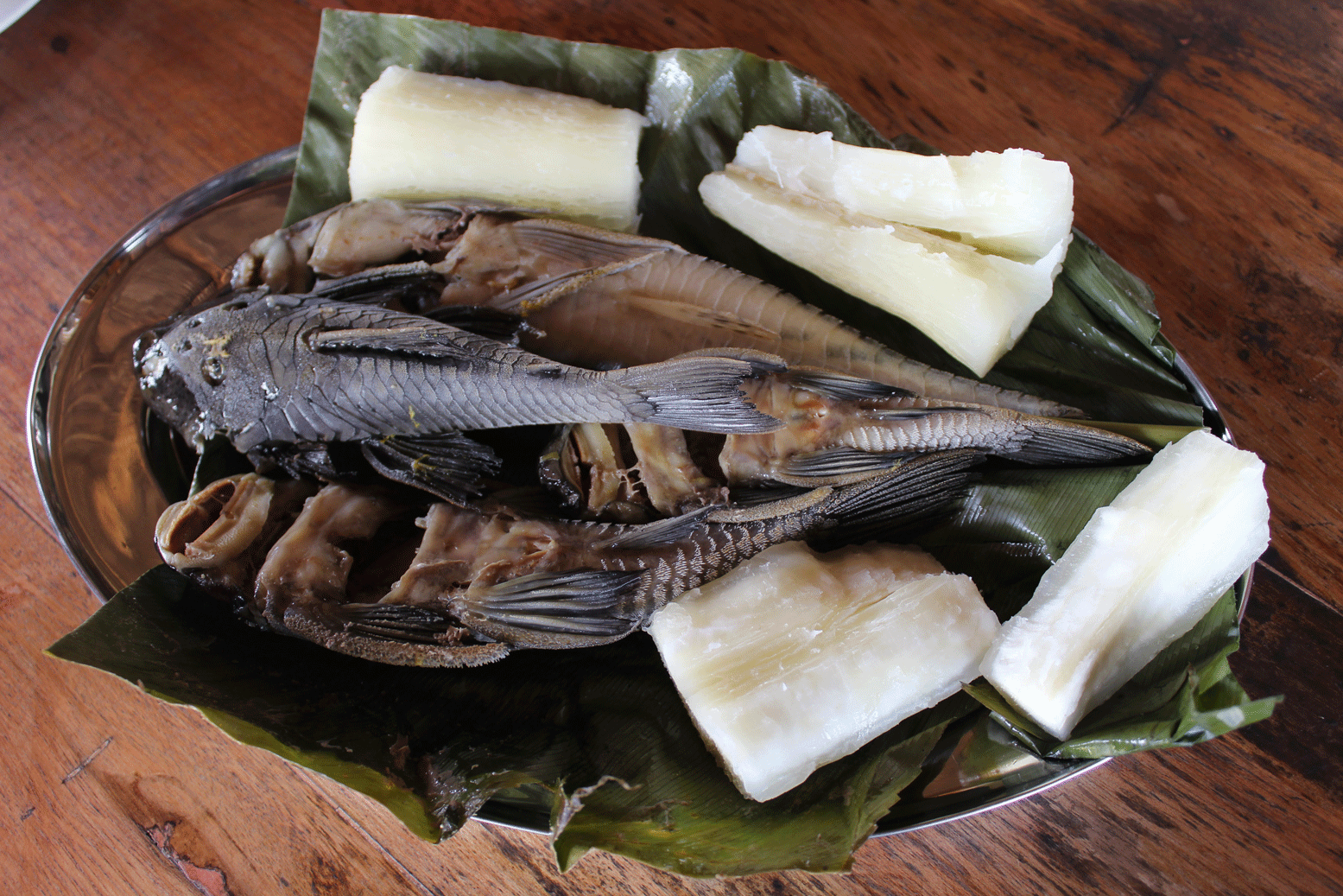 MAITO DE CARACHAMA.gif