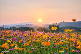 First Day of Spring Poem: