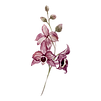 ピンクの花
