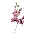 Pink Flowers