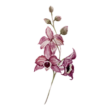 Pink Flowers
