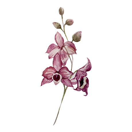 Pinke Blumen