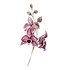 Pink Flowers