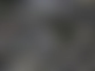 坂戸市の不動産市場動向|価格と需要のリアル