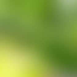 空き家の草刈り、どこまで必要?坂戸市で増える“管理できない空き家”相談を解説