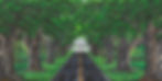 Bridge Road- Hobe Sound, FL