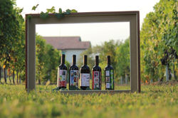 Agnolio Alessandro 3