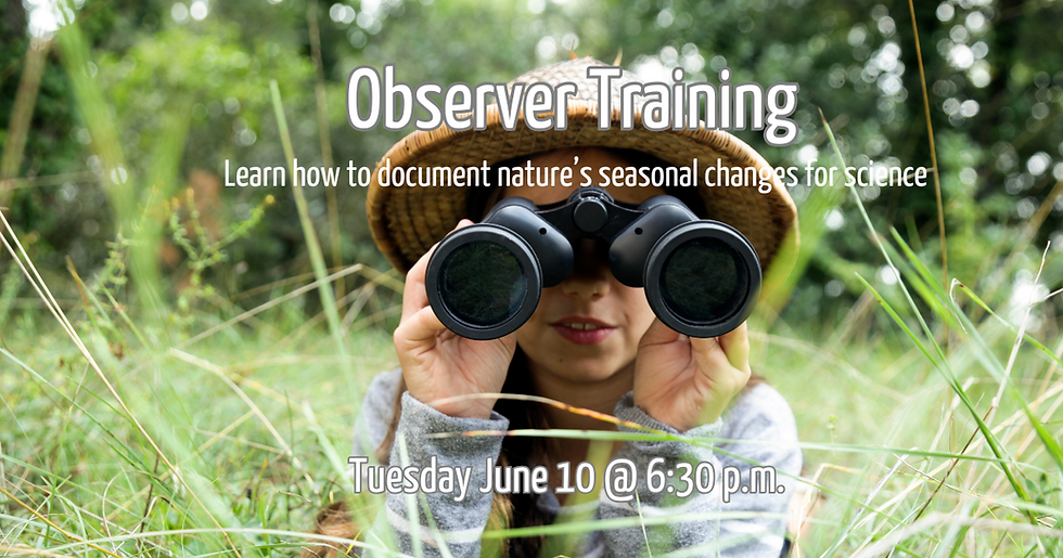 Observer Training