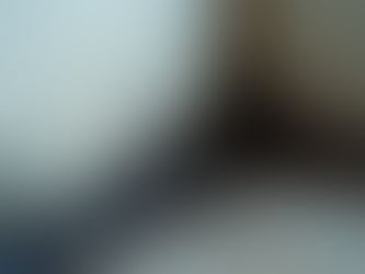 Understanding Mold Removal Techniques: A Guide to Mold Remediation and Prevention