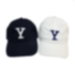 Y Baseball Cap