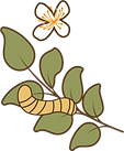 10) ícone folhas com largata.png
