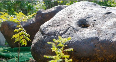 截圖 2023-03-09 下午8.37.55.png