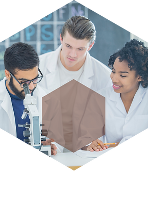 鑫華園官網 (3).png