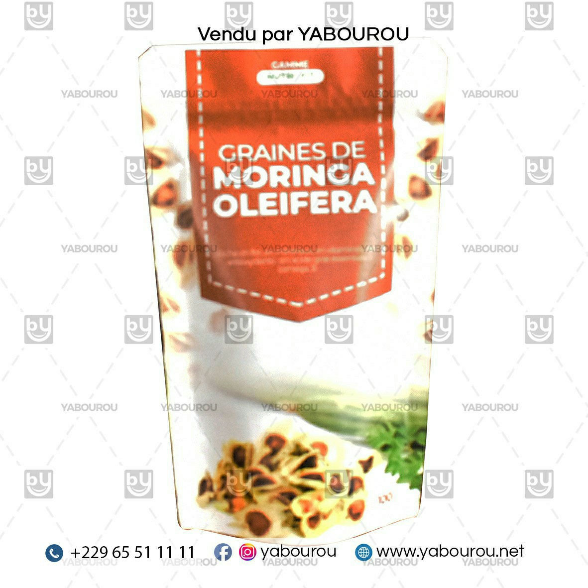 GRAINE DE MORINGA OLEIFERA 100G