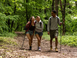 CAMINHADAS VIRTUAIS PELO MUNDO INTEIRO!