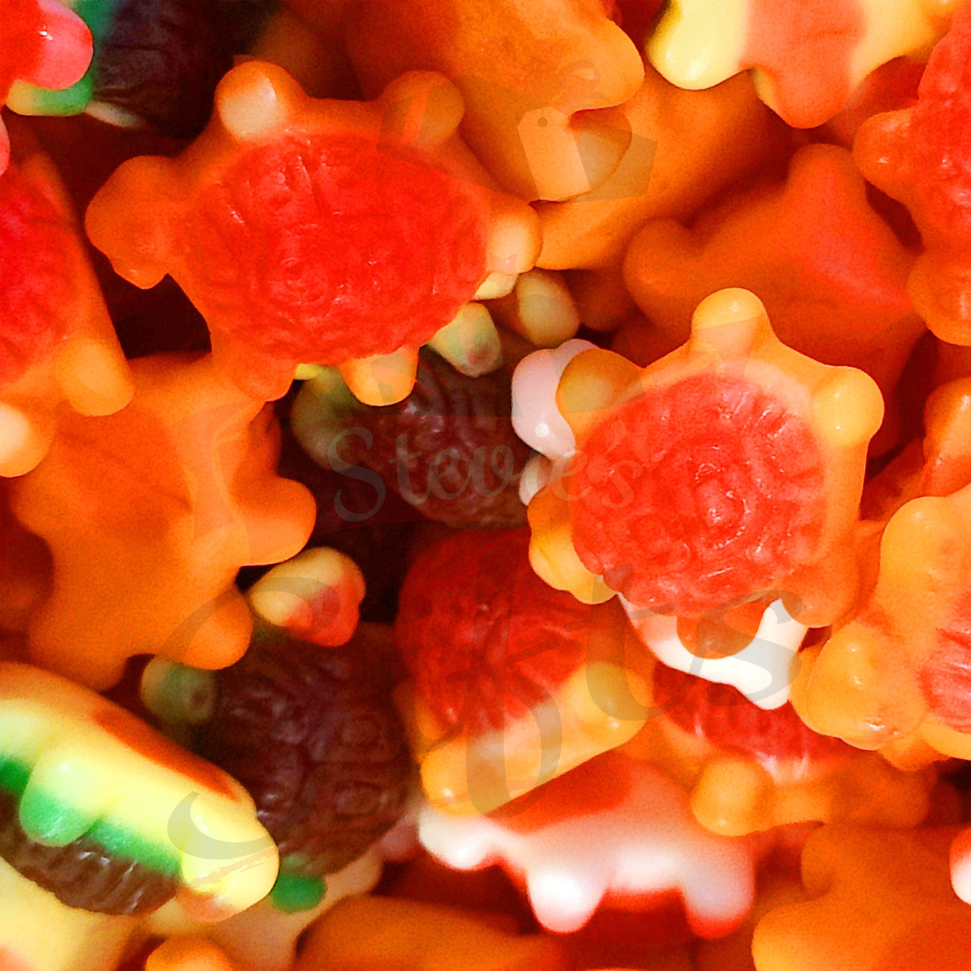 Jelly Filled Turtles (186)