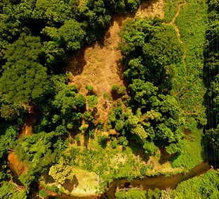 Área degrada - PR_edited_edited_edited.jpg