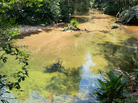 Criação de RPPN no entorno do Parque Nacional Saint-Hilaire/Lange