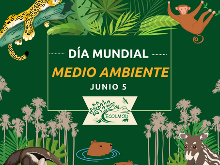 5 de junio Día Mundial del Medio Ambiente