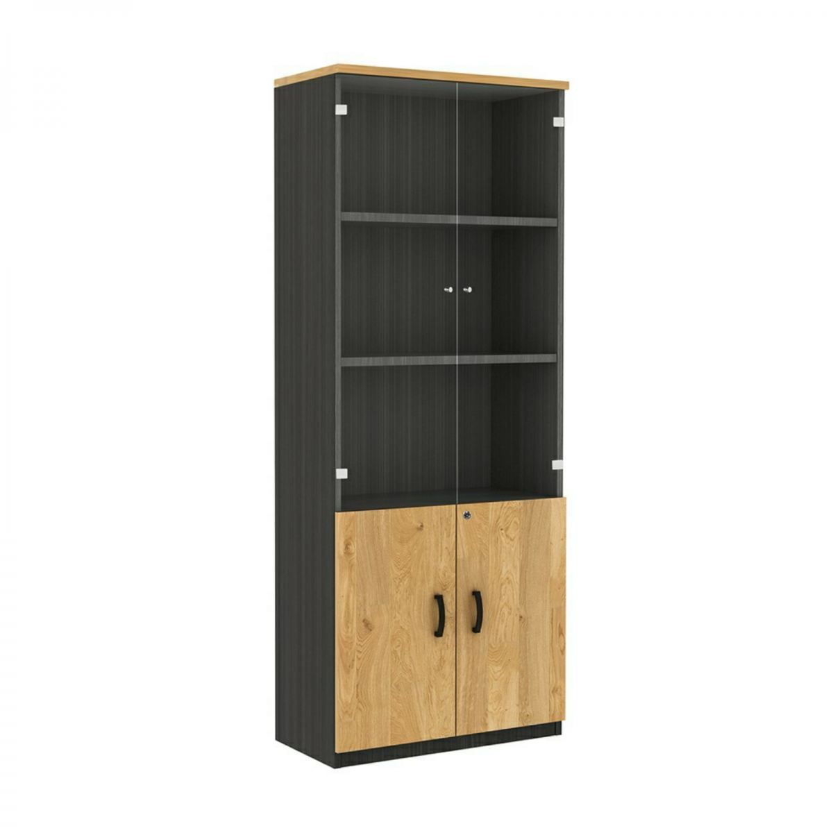 MP3 Book Shelf with Glass Door