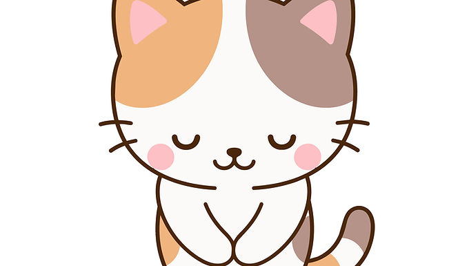お急ぎください！