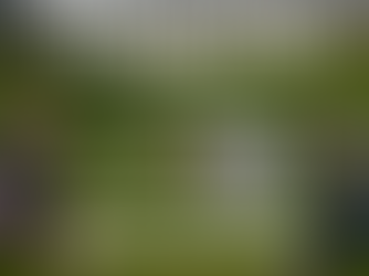 Celebrating our ROOTS