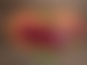 Best Cuts: Choosing the Right Bison for the Right Meal