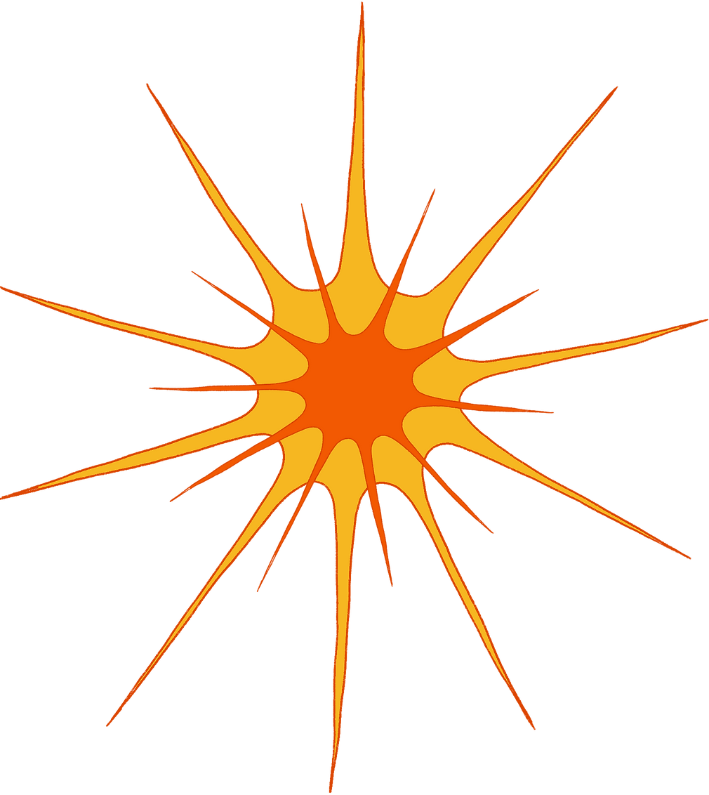 IMG_1941.PNG