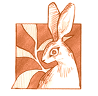Untitled_Artwork_edited.png