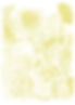 motif de fond aéré.jpg