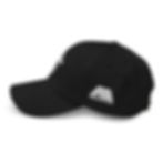Thumbnail: Dad hat