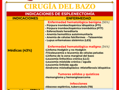 INDICACIONES DE ESPLENECTOMÍA (Cirugía del Bazo)