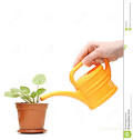 Leadership Requires Positive Nurturing
