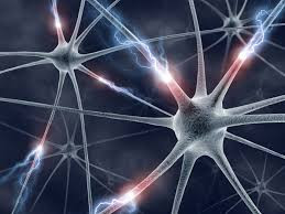 Slowing Aging Through Continuing Education
