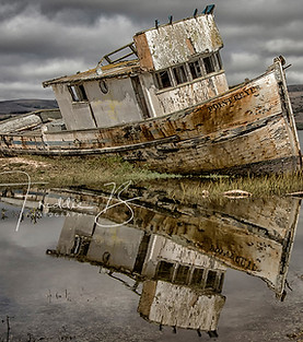 Freddie Forgotten - watermarked.jpg