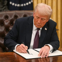 Trump quer taxar madeira importada e medida pode afetar exportações do Pará