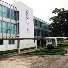 O ambicioso plano da CERPA para ganhar o mercado nacional