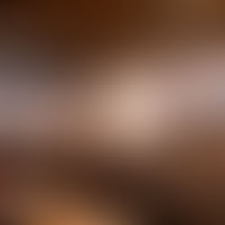 É HOJE: encontro de franquias acontece no restaurante The Wine Experience, em Belém