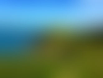 WAIHEKE ISLAND