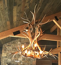 Antler Chandelier