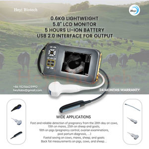 FarmScan L60 Livestock Ultrasound: The Ultimate Handheld Solution for Fast, Accurate Herd Management