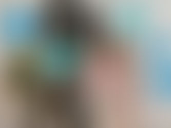 INFLUENCER PARTNERSHIPS IN E-COMMERCE AND RETAIL