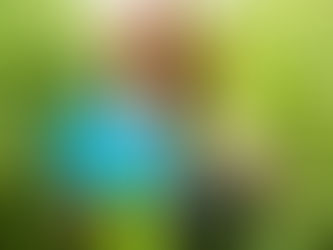 SUSTAINABLE AND RESPONSIBLE INVESTING WITH INFLUENCERS