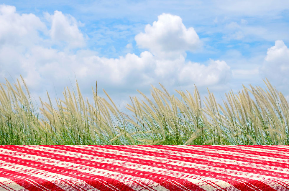 Buckeye State Picnic