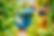 DSC06049.png