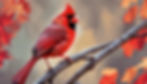 Eye-level view of a vibrant cardinal perched on a tree branch